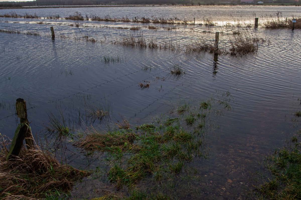 Hochwasser Seewiesen 1.jpg