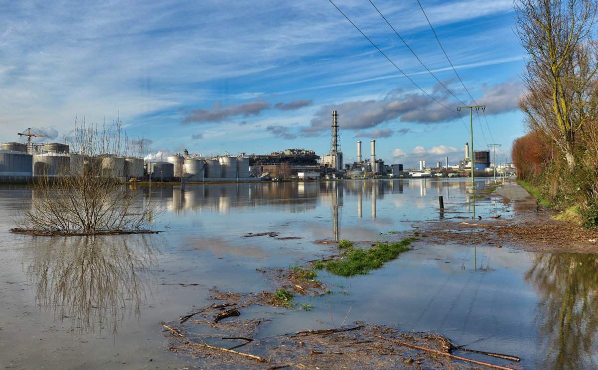 hochwasser_neckar_rhein.jpg