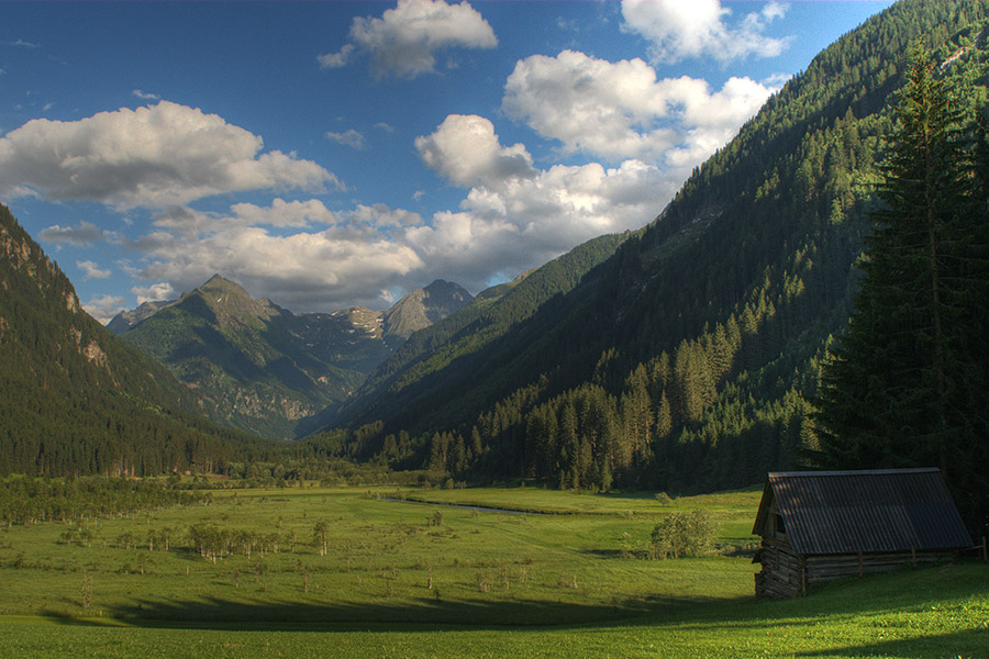 Hochwildstell