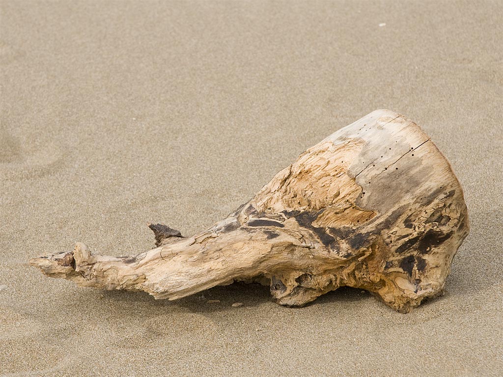 Holz   01