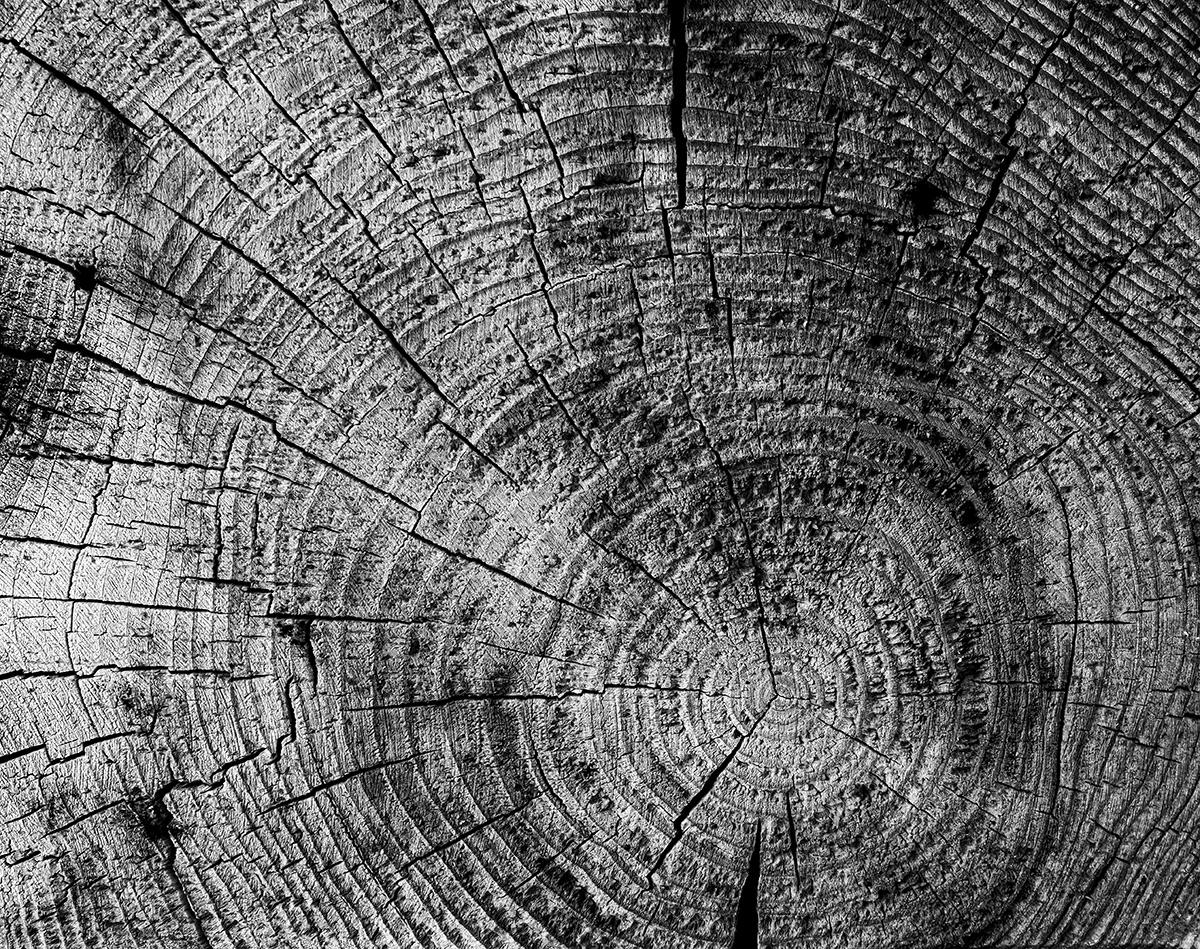 Holz.jpg