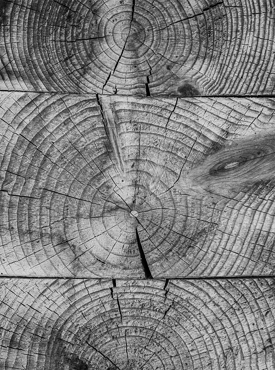 Holz.jpg