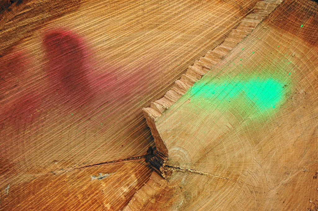 holz2