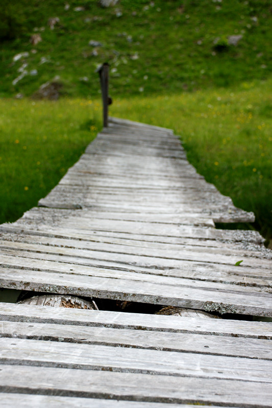 Holzbrücke (DOF)