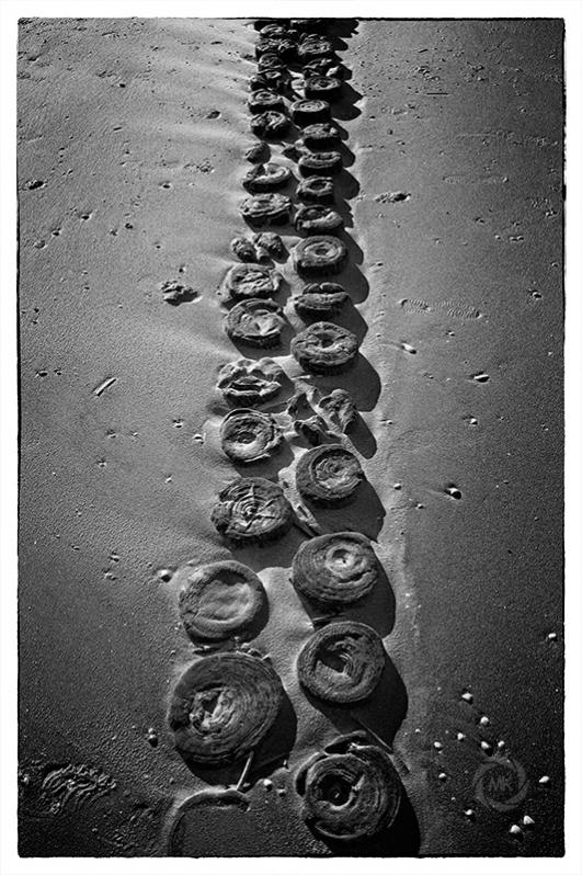 Holzbuhnenstummel im Sand