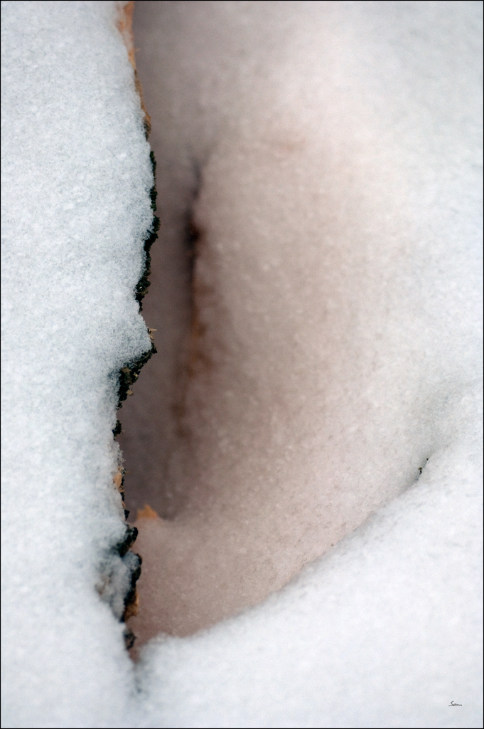 HolzDSC 0110