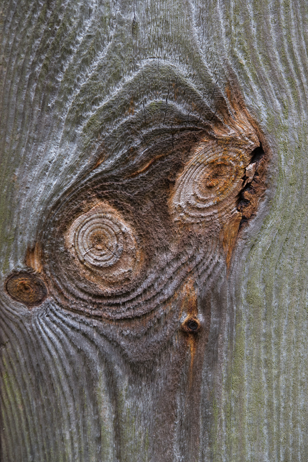 Holzgeist 1 (1 von 1).JPG