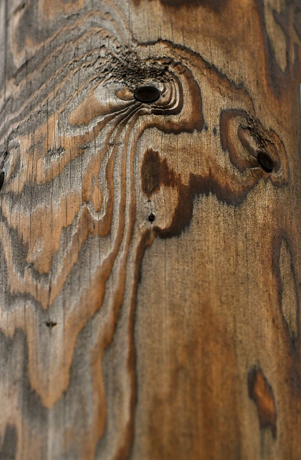 Holzgeist 1.jpg