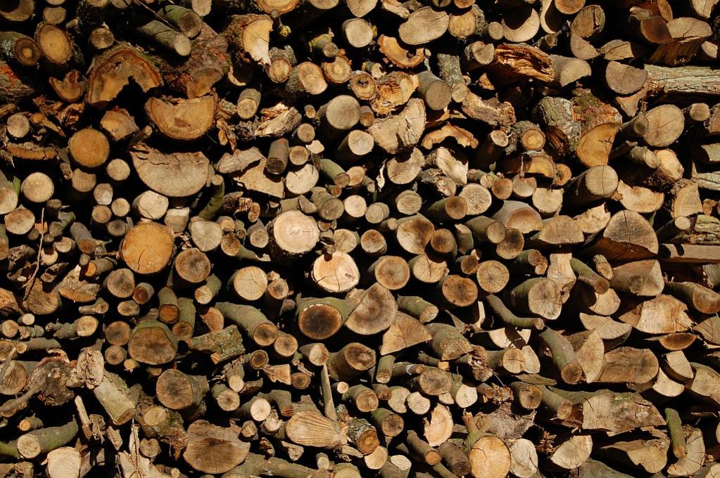 Holzhaufen