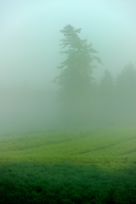 Holzland 02