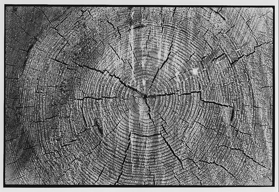 Holzschnitt