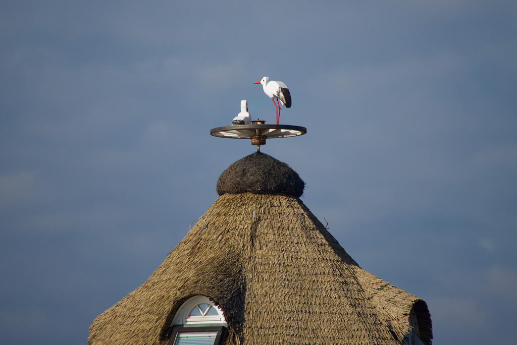 Holzstorch