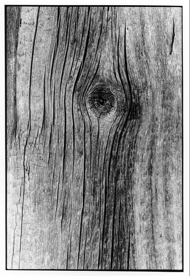 Holzstruktur