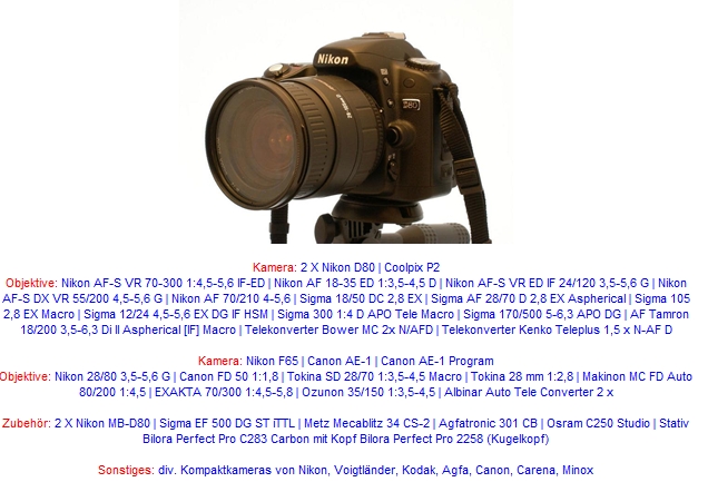 Homepage
