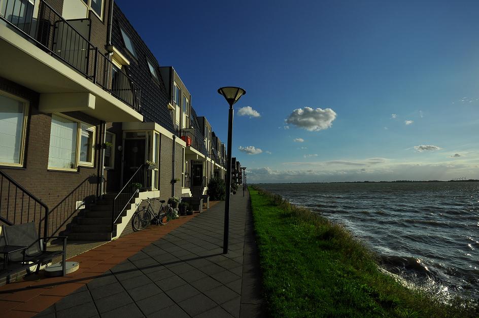 Hoorn