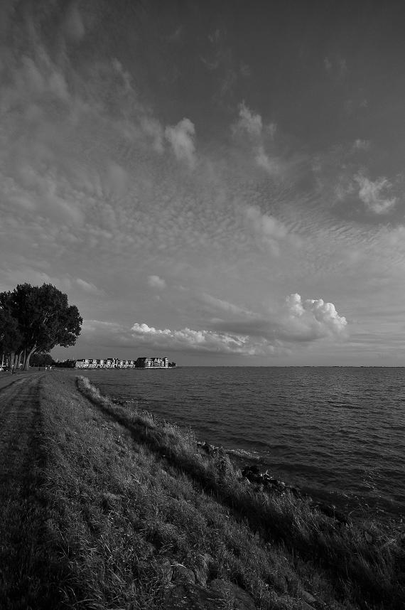 Hoorn
