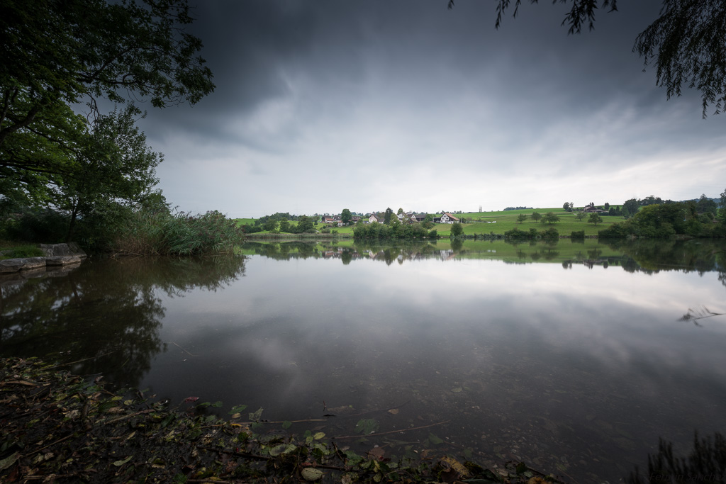 Horgener Bergweiher, LZB