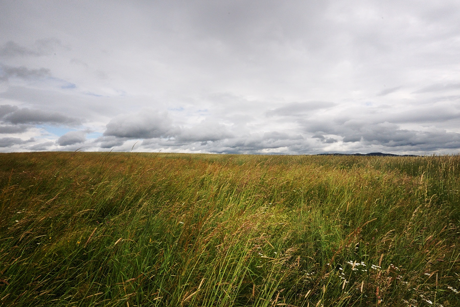 Horizont