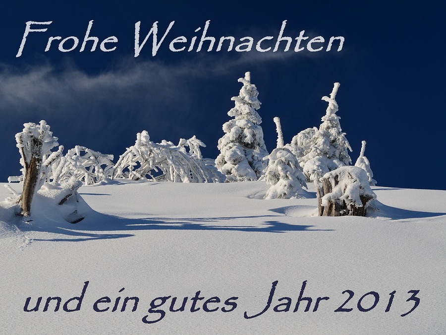 Hornisgrinde - im Scharzwald