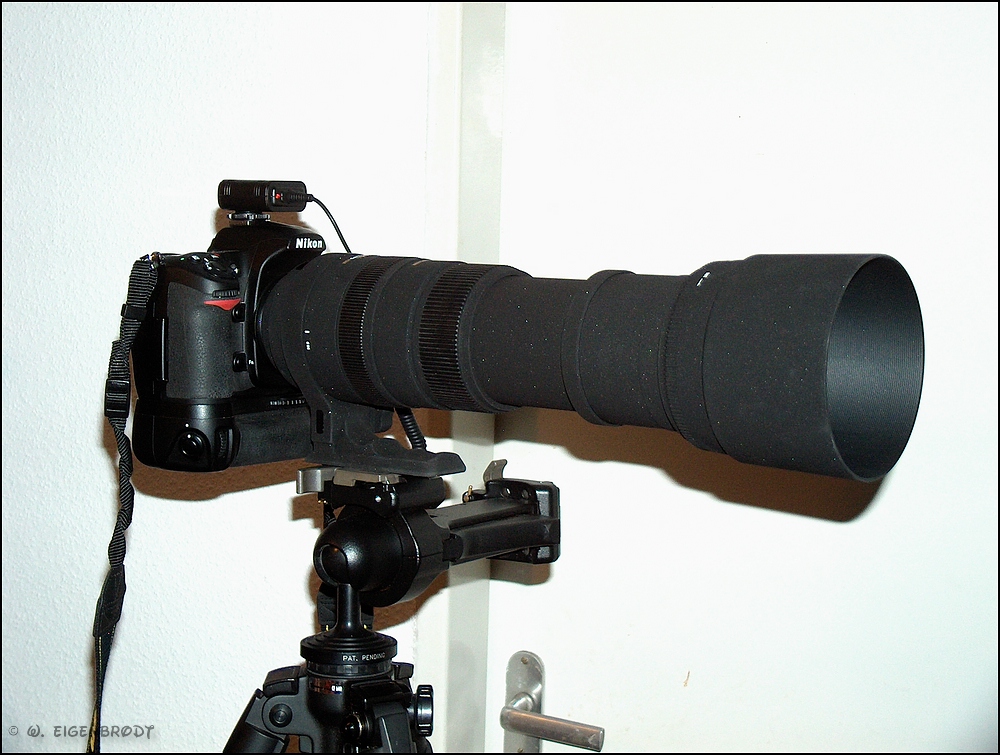 HPIM0348 cd