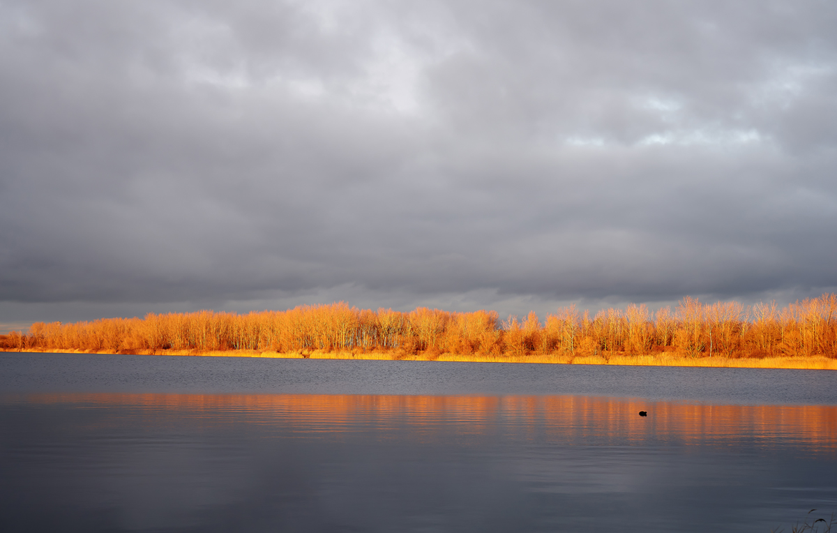 Hufeisensee.jpg