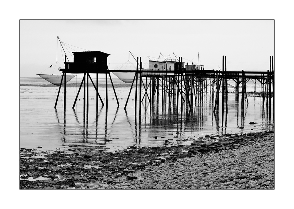 huitres &amp; moules XIII