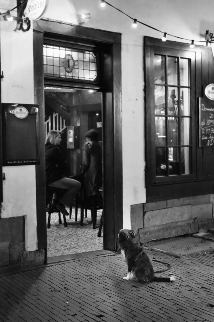 HUnd vor Kneipe