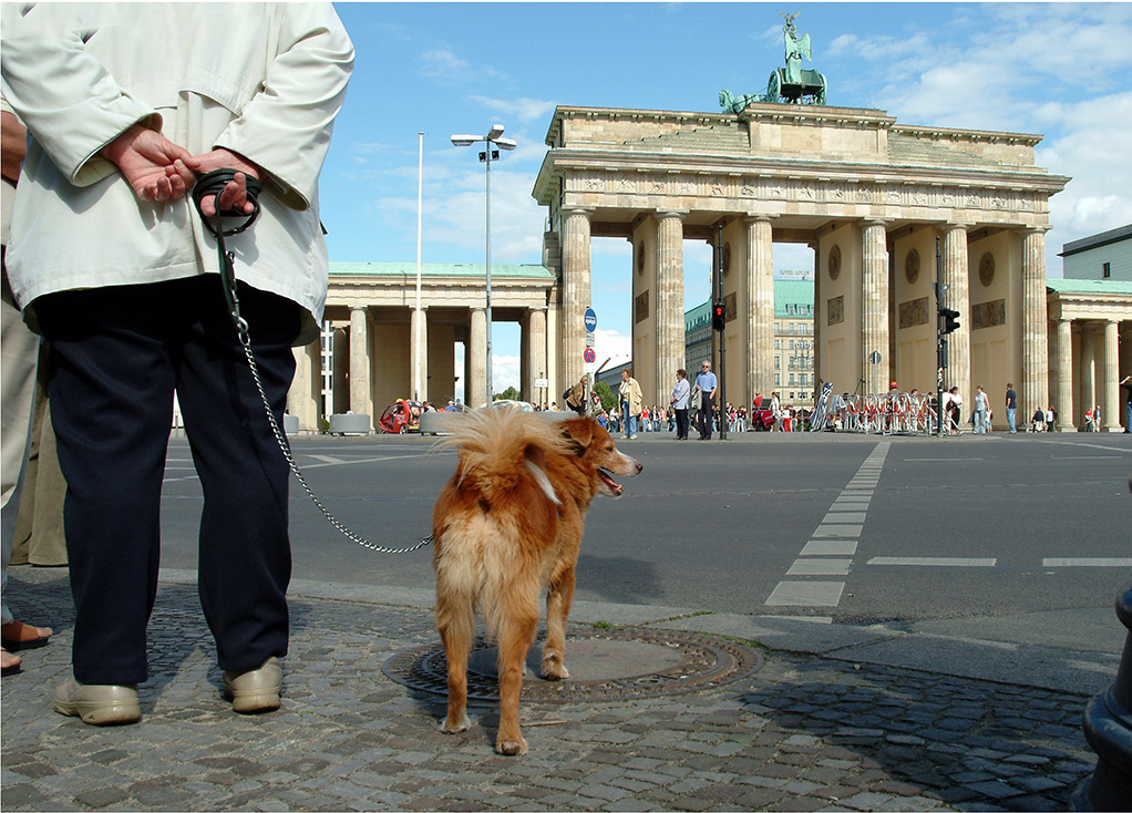 Hunde Berlin