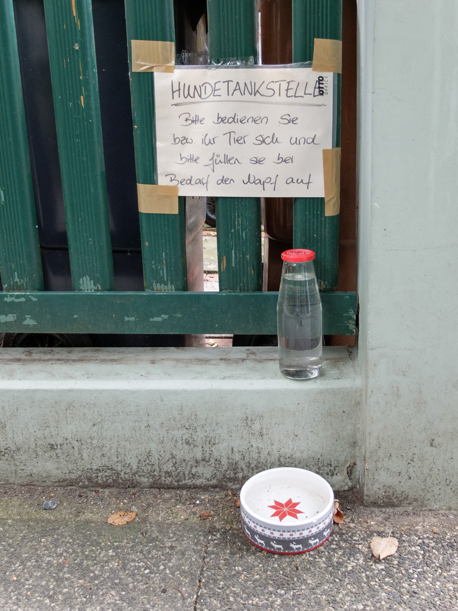 Hunde/Menschen/Tankstelle