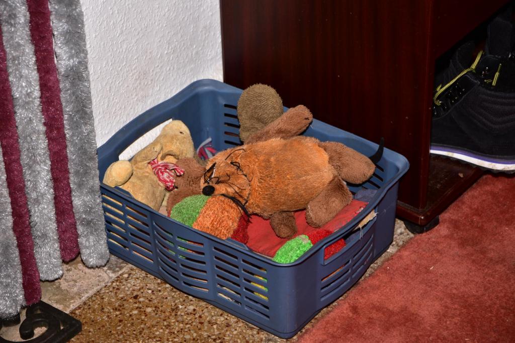Hundekorb