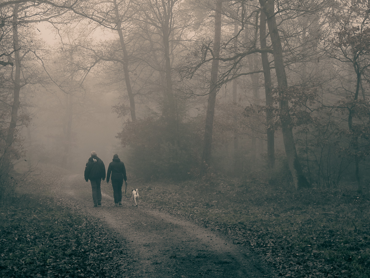 Hunderunde