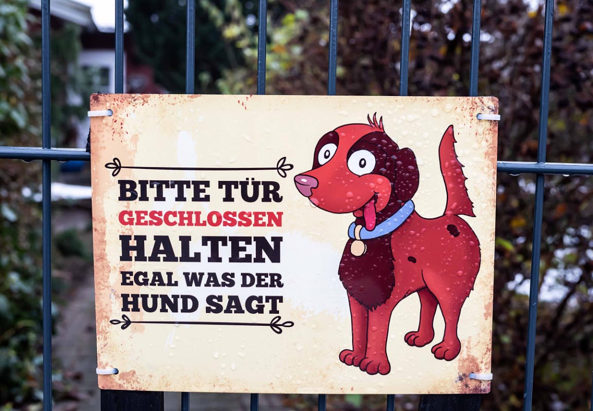 Hundetür.jpg