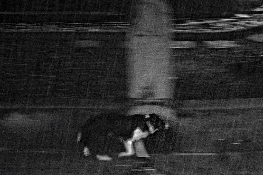 Hundewetter