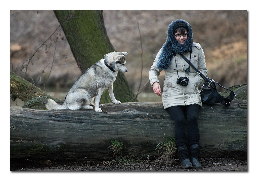 hundewinter4