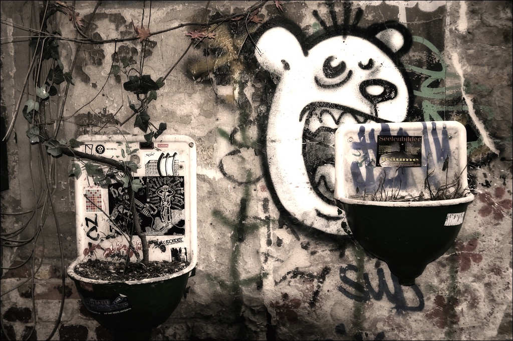 Hungriger Bär II