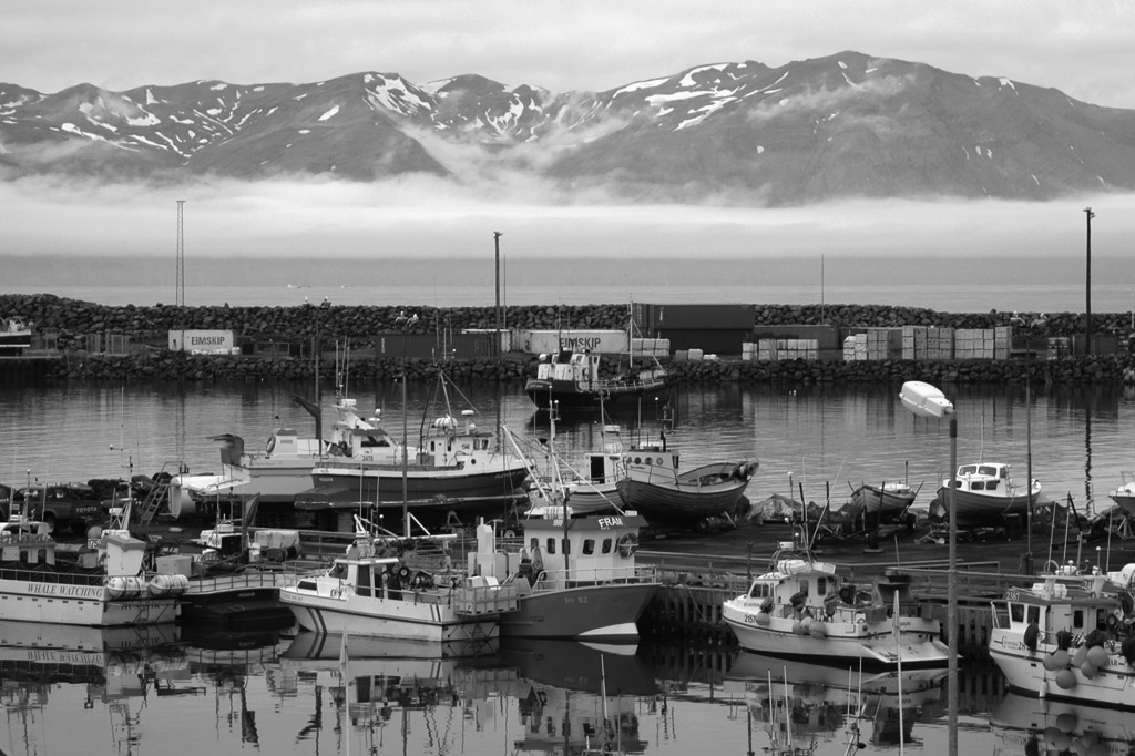 Husvik Island