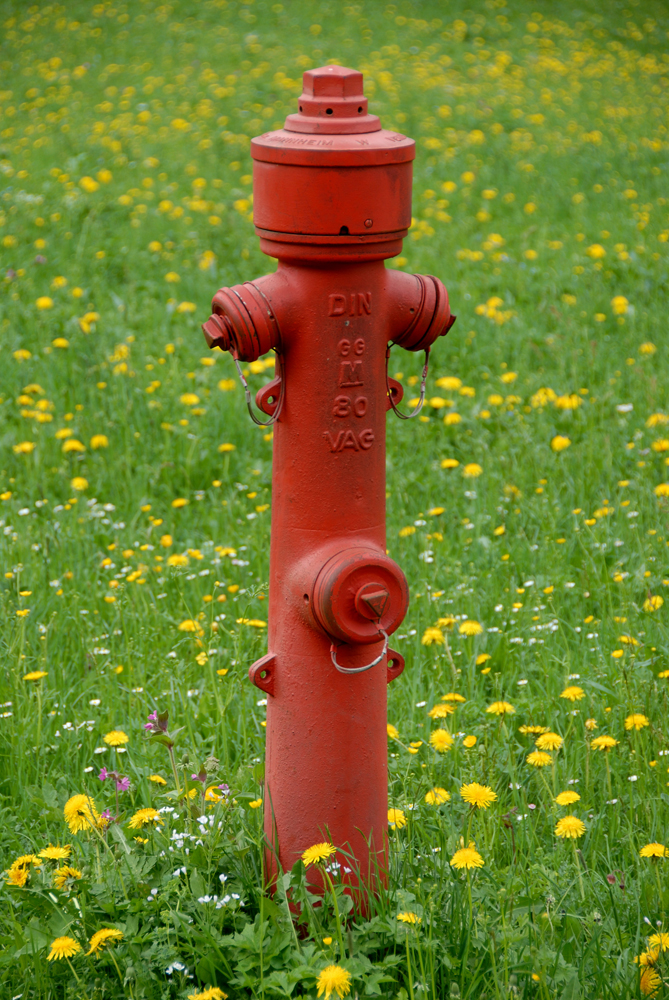 Hydrant 5.jpg