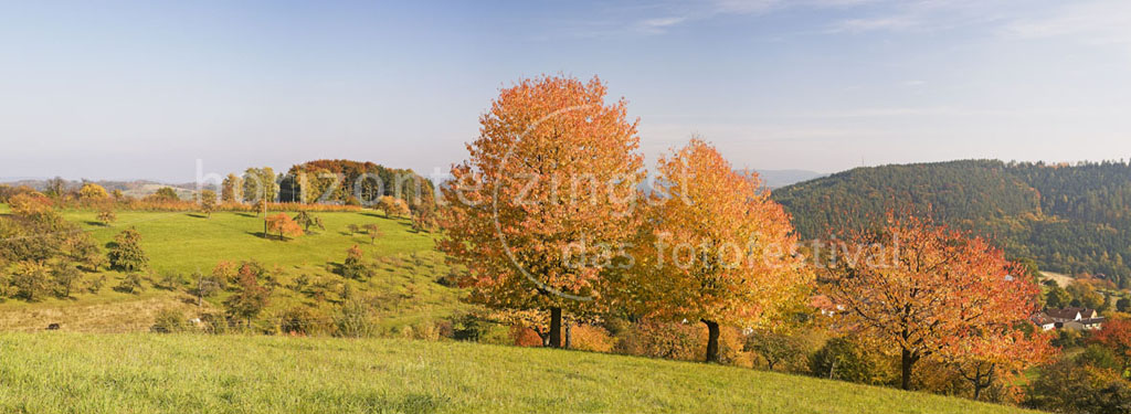 HZ11 FWS Panoramafotografie Harald Wickel