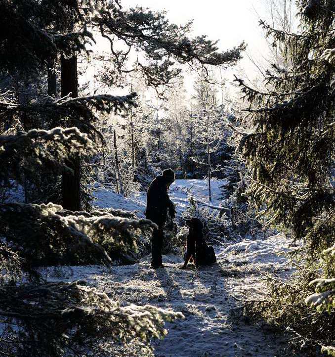 i vinterskogen 1a