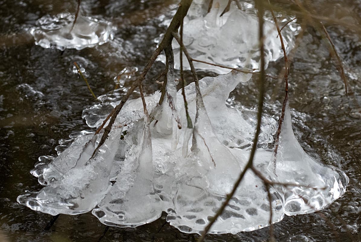 Ice on the water 2.jpg