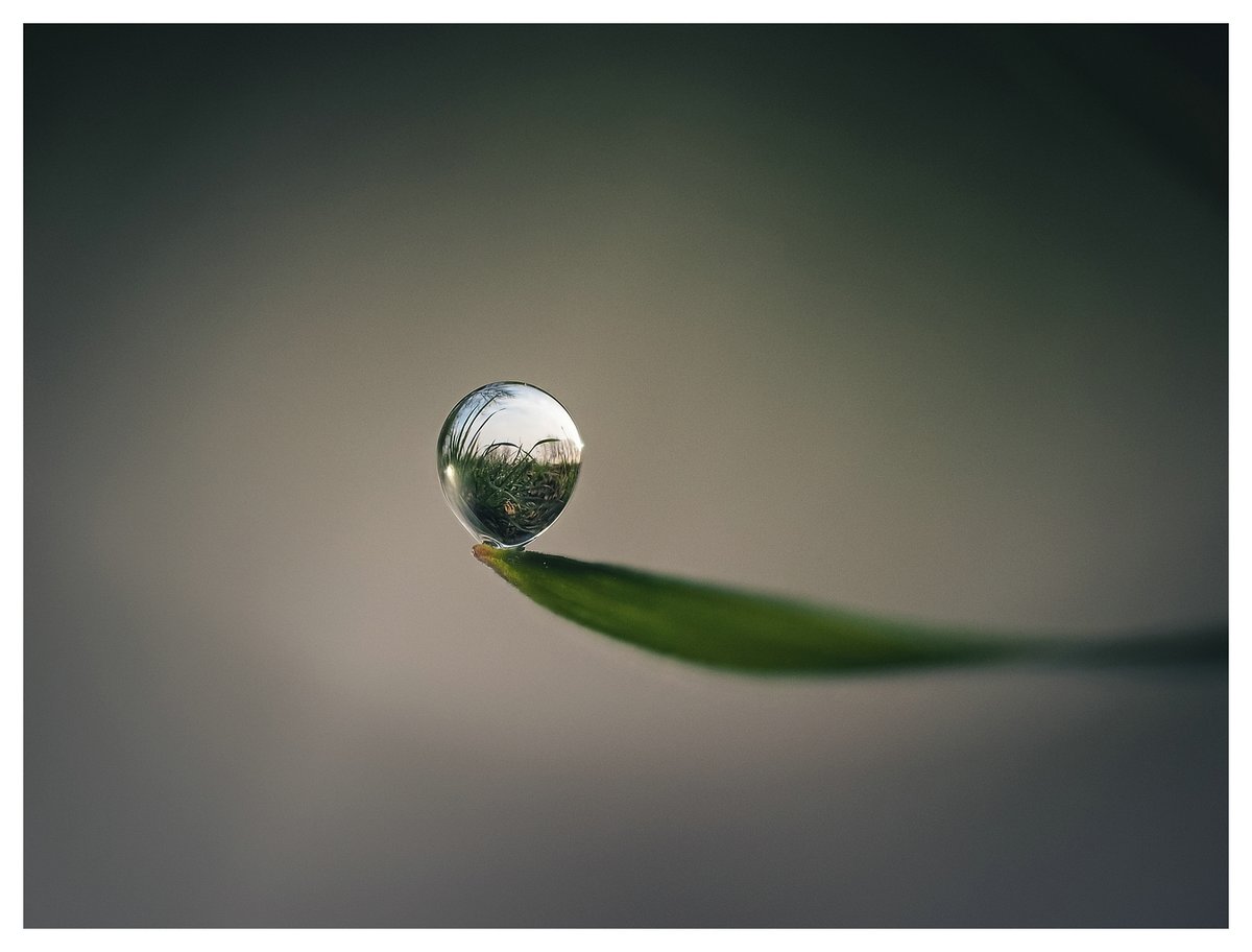 Ich fang mir eine kleine Welt