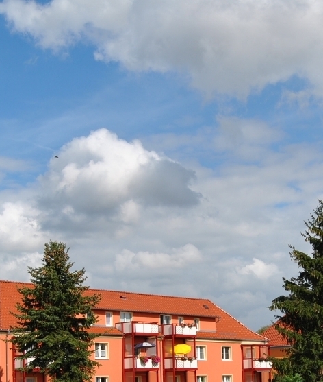 Ich finde die Farben zu knallig