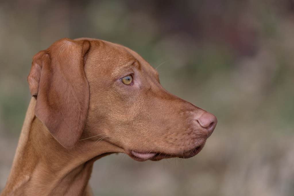 Ich kann auch modeln !
