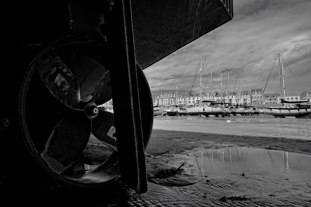 Ilfracombe (Devon)