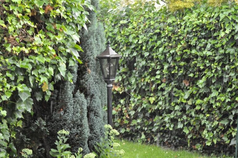 im Garten 1