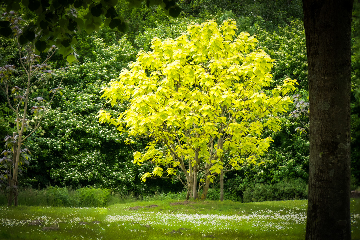 Im Kurpark