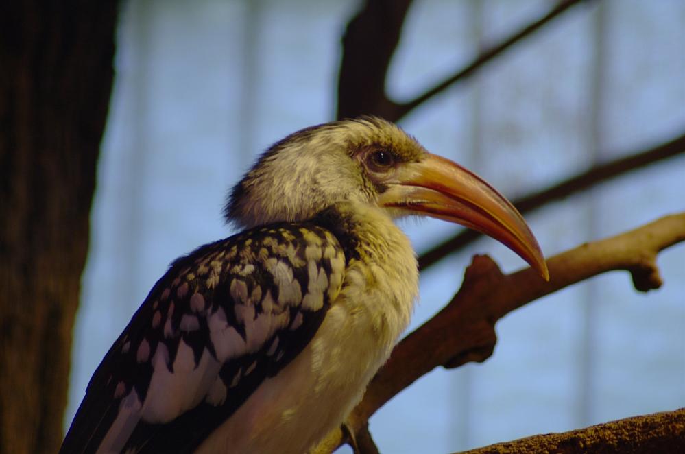 Im Tierpark