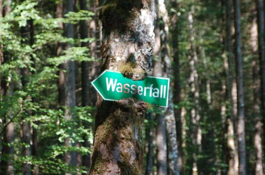 Im Walde