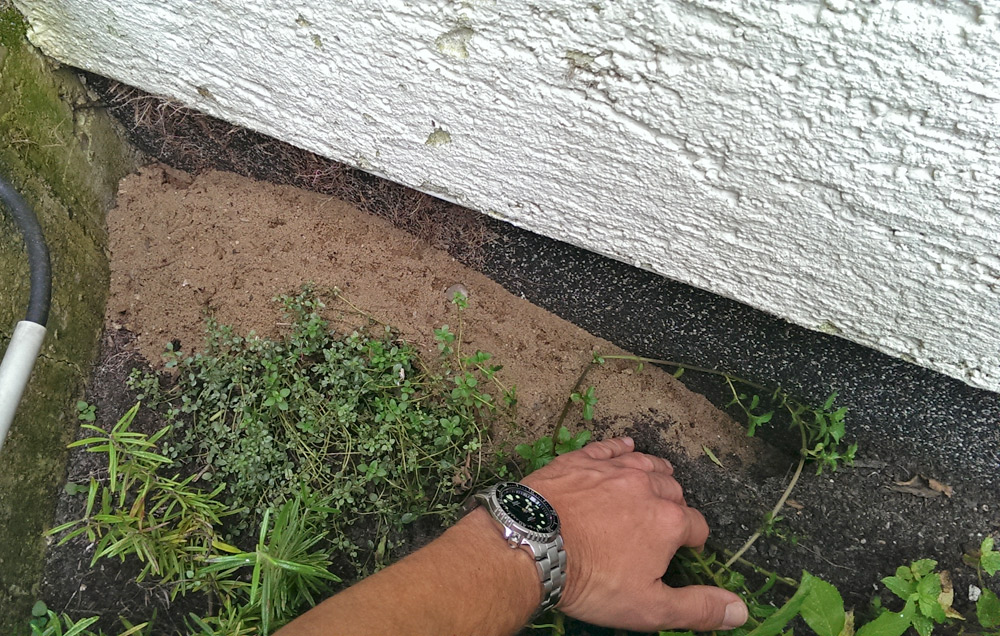 IMAG0518