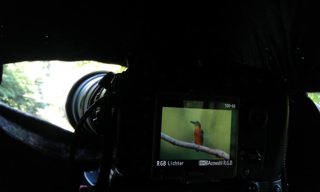 IMAG0522